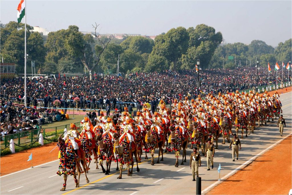 BSF camels contingent during Republic Day rehearsals.