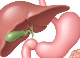 Suman Rao from Churu has the longest Gallbladder of the world: Guinness World Records