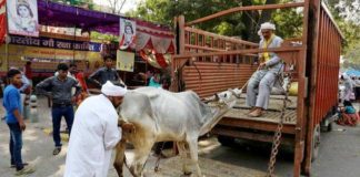 The incident in Alwar forces us to think if it's right to kill another human being in the name of cow protection?