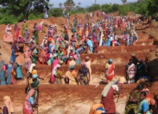 मनरेगा के तहत लक्ष्य से अधिक परिवारों को मिला रोजगार, 17 हजार परिवारों को मिला सम्मान से जीने का हक