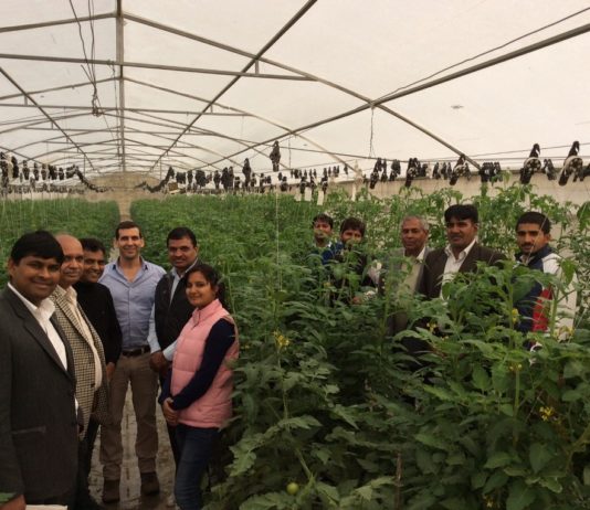 Rajasthan Centers of Excellence Foster Best Agricultural Practices for Greater Income Rajasthan Centers of Excellence Foster Best Agricultural Practices for Greater Income