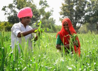 newsofrajasthan