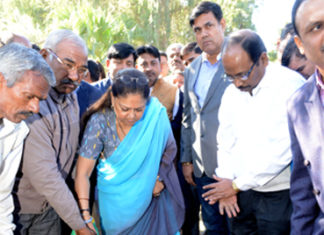पांच साल पहले लगाए पौधे को देख खुश हुईं मुख्यमंत्री वसुन्धरा राजे, नया पौधा भी लगाया news of rajasthan