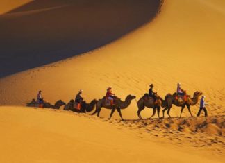 पधारो म्हारे राजस्थान, लेकिन न्यू ईयर के बाद! news of rajasthan