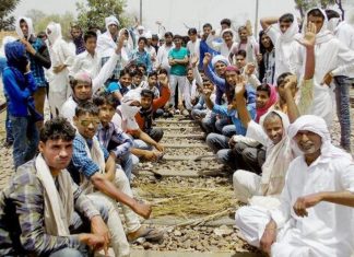 Rajasthan Government approves 1 percent reservation to Gurjars Rajasthan