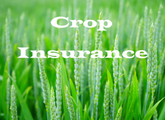crop insurance company