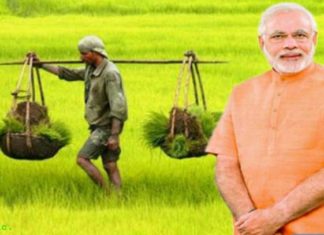 क्या है प्रधानमंत्री फसल बीमा योजना, क्या है लाभ, कैसे करें आवेदन, जानें news of rajasthan