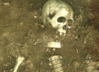 10th Century Skeletons found at Juna Khera Excavation Site in Rajasthan skeleton
