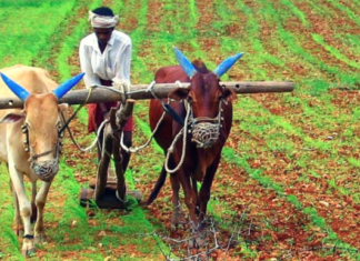 निधन होने या बाहर चले गये किसान के परिजन को मिलेगा ऋणमाफी प्रमाण पत्र news of rajasthan