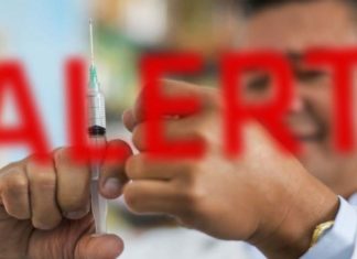 Nipah virus