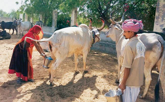 Rajasthan