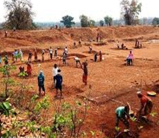 MGNREGA योजना के तहत मरूधरा में 100 दिन का रोजगार बना मजाक, अधिकारी आंकड़ों में हेराफेरी में व्यस्त!