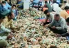 सांवलिया सेठ के भंडार में दान के टूटे रिकार्ड, 40 करोड़ 81 लाख से अधिक आया चढ़ावा