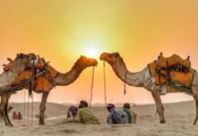 जैसलमेर घूमने वाले पर्यटकों के लिए बड़ी खबर:
